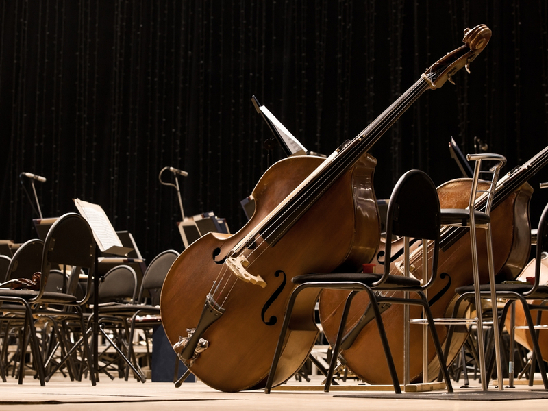Two double bases are left leaning against chairs in what appears to be an orchestra setting.