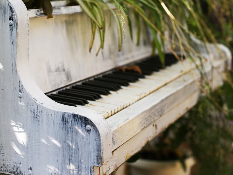 White painted piano outside in the sunshine, with spider plants on top.